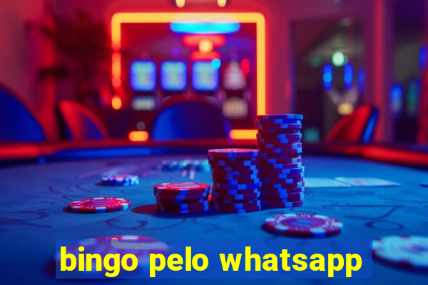 bingo pelo whatsapp